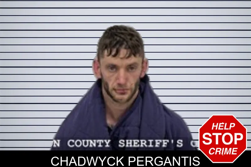 Chadwyck Pergantis Mugshots