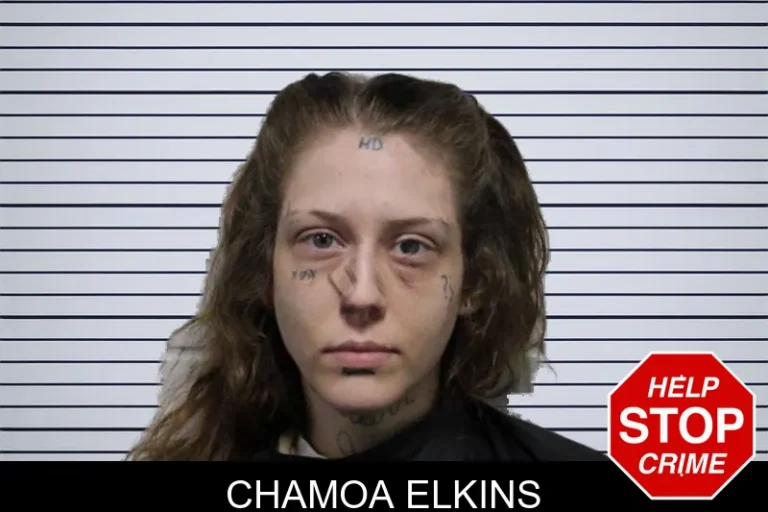 Chamoa Elkins mugshot – Habersham County , Georgia Chamoa Elkins