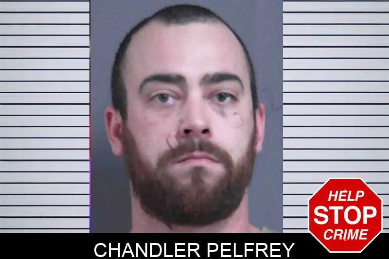 Chandler Pelfrey mugshot