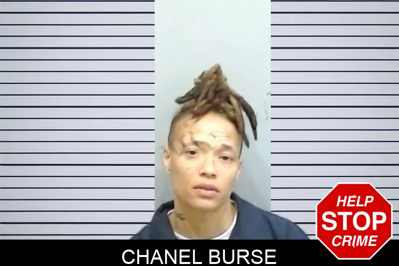 Chanel Burse mugshot