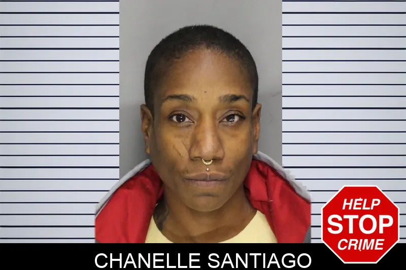 Chanelle Santiago mugshot
