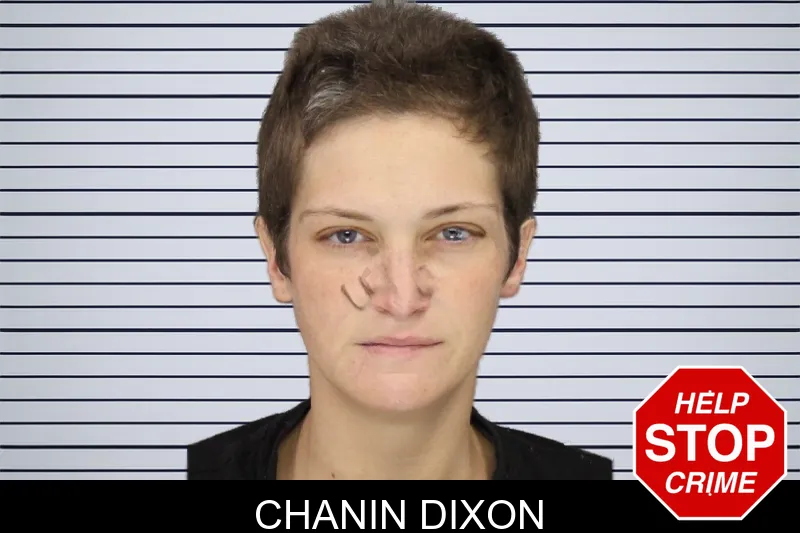 Chanin Dixon mugshot – Cobb County , Georgia Chanin Dixon mugshot