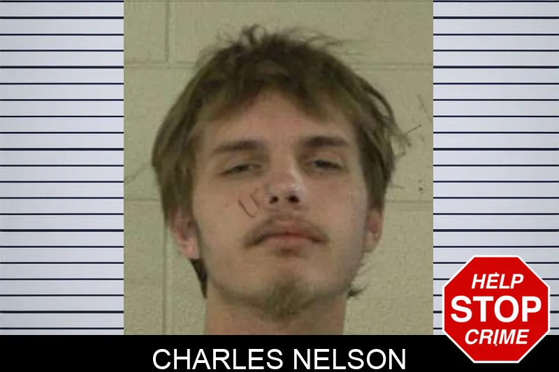 Charles Nelson mugshot – Liberty County , Georgia Charles Nelson mugshot