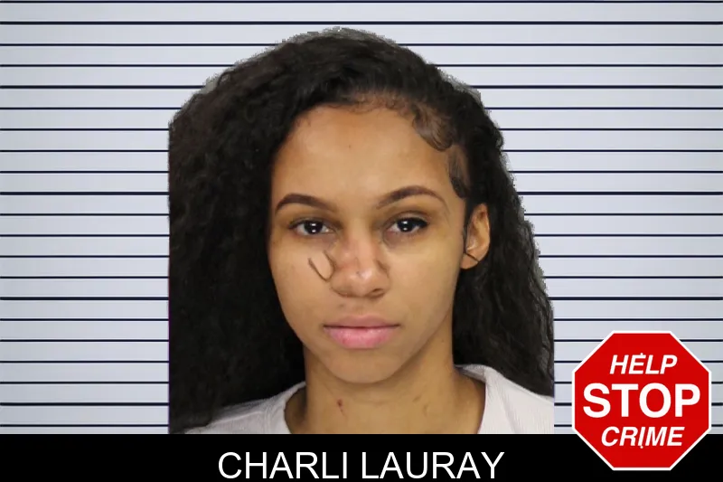 Charli Lauray mugshot – Cobb County , Georgia Charli Lauray mugshot