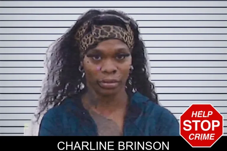 Charline Brinson mugshot – Screven County , Georgia Charline Brinson