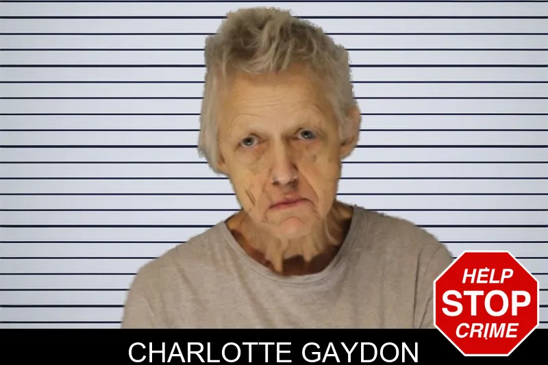 Charlotte Gaydon mugshot