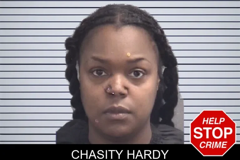 Chasity Hardy mugshot – Spalding County , Georgia Chasity Hardy