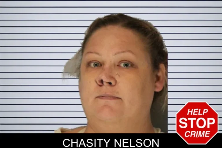 Chasity Nelson mugshot – Hall County , Georgia Chasity Nelson