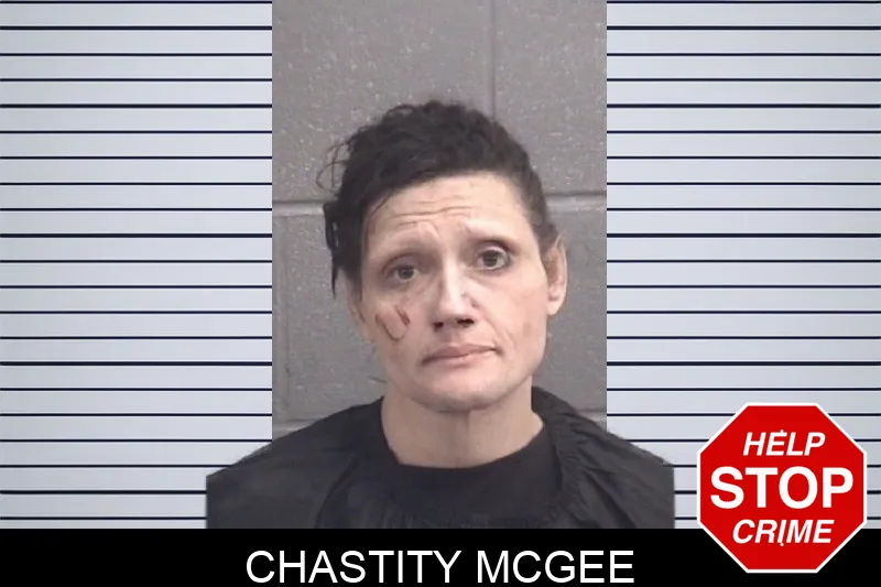 Chastity McGee mugshot