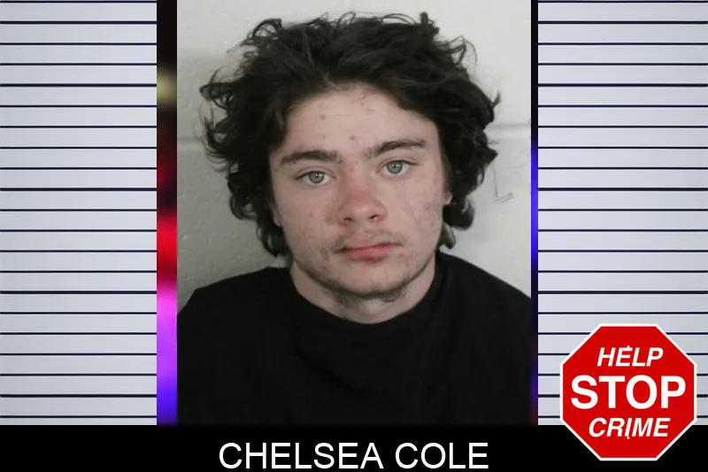Chelsea Cole mugshot