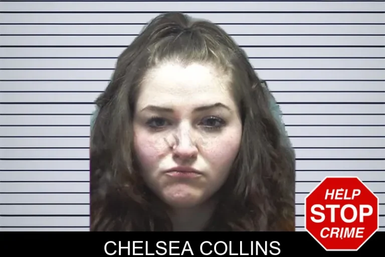 Chelsea Collins mugshot – Cherokee County , Georgia Chelsea Collins