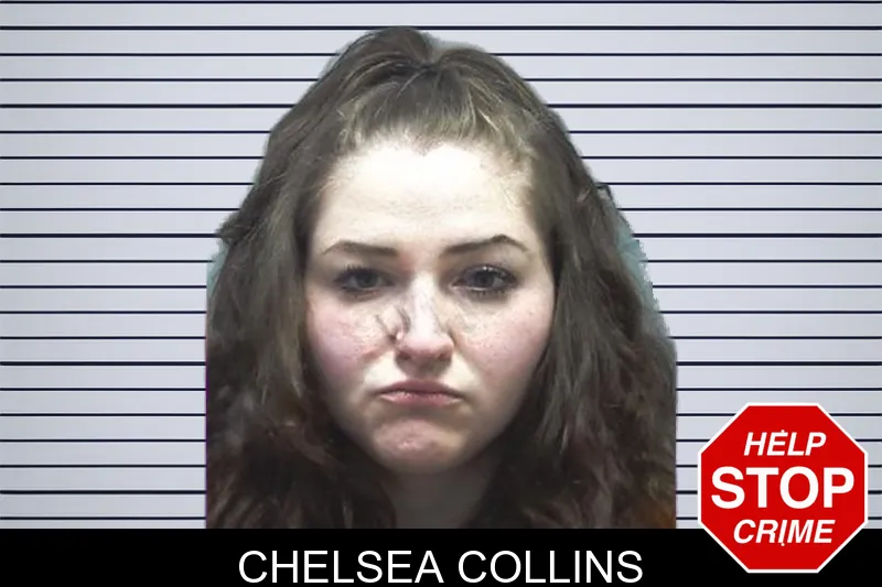 Chelsea Collins Mugshots