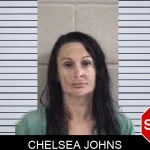 Chelsea Johns Mugshots