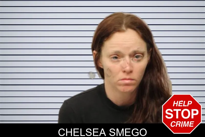 Chelsea Smego mugshot