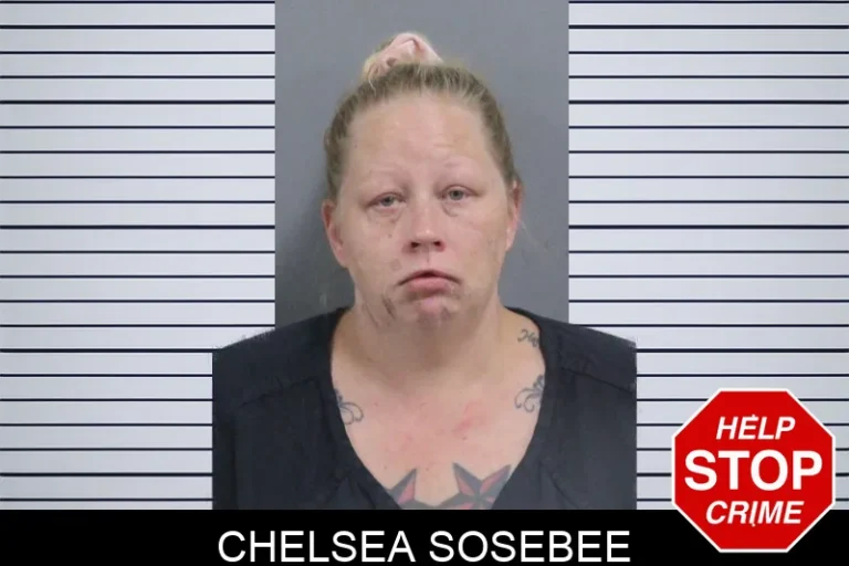 Chelsea Sosebee