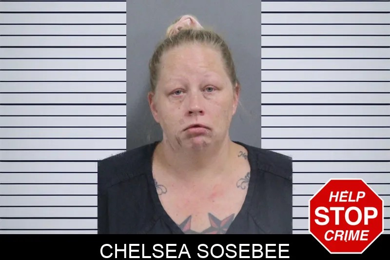 Chelsea Sosebee Mugshots