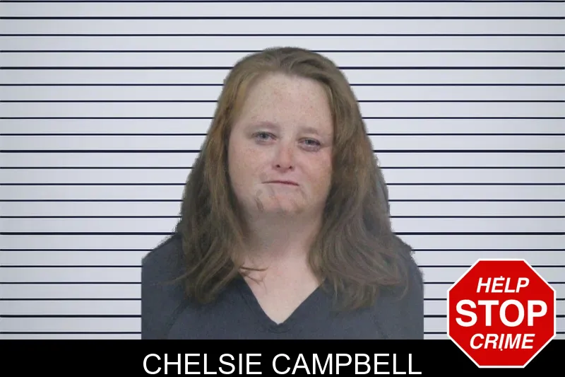 Chelsie Campbell mugshot – Catoosa County , Georgia Chelsie Campbell mugshot