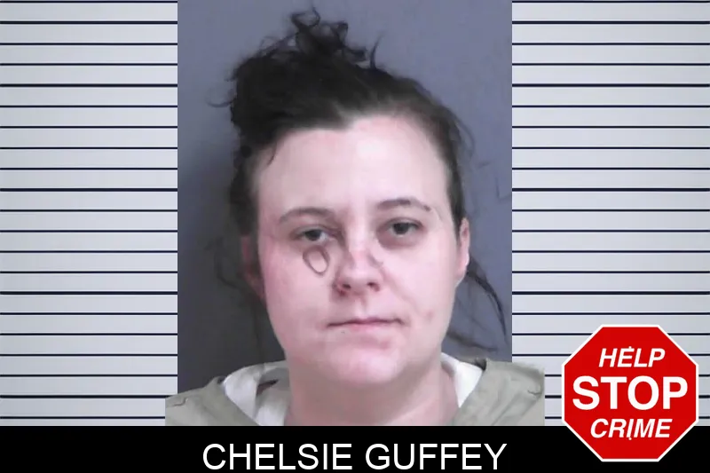 Chelsie Guffey mugshot – Gordon County , Georgia Chelsie Guffey mugshot