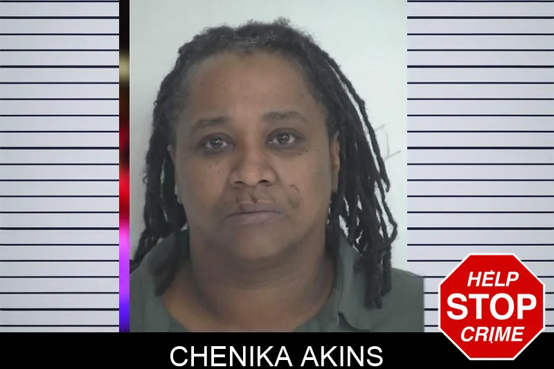 Chenika Akins mugshot – Fayette County , Georgia Chenika Akins mugshot