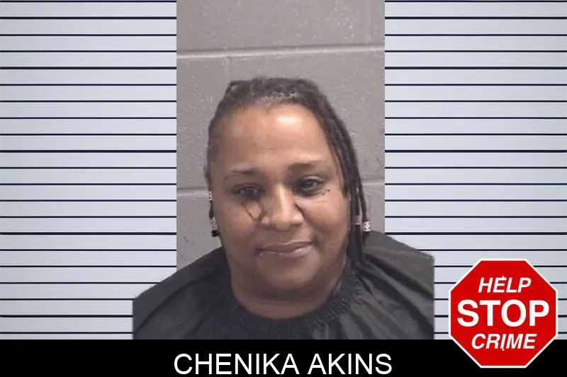 Chenika Akins Mugshots