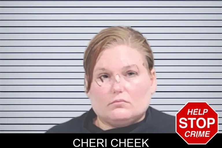 Cheri Cheek mugshot – Lowndes County , Georgia Cheri Cheek