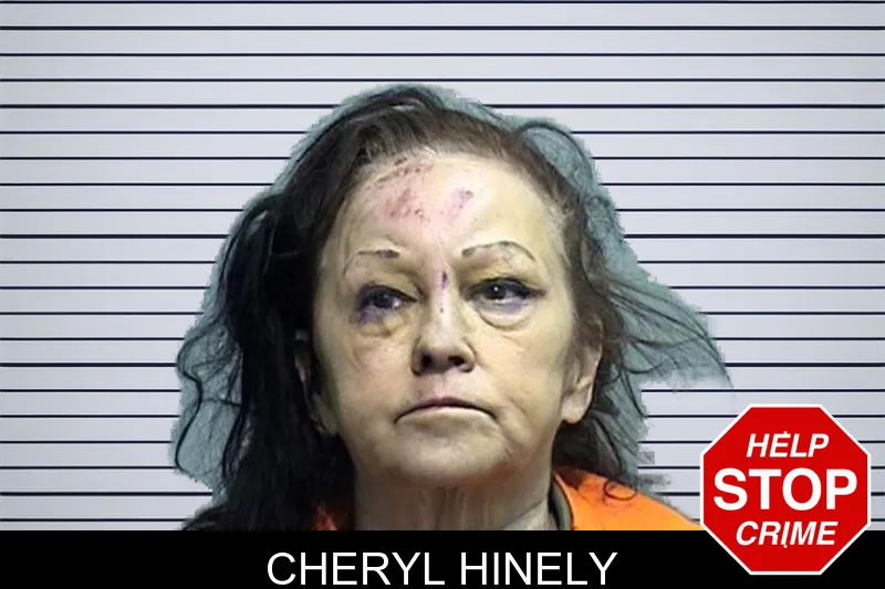 Cheryl Hinely mugshot