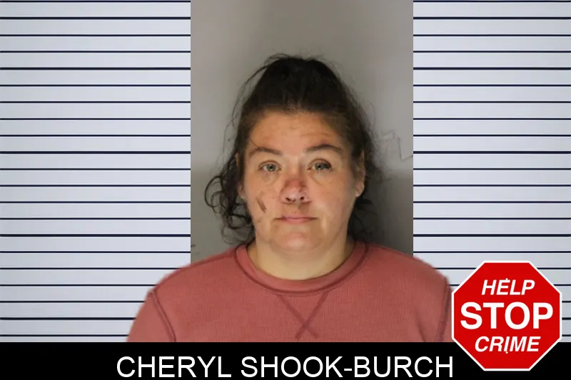 Cheryl Shook-Burch Mugshots