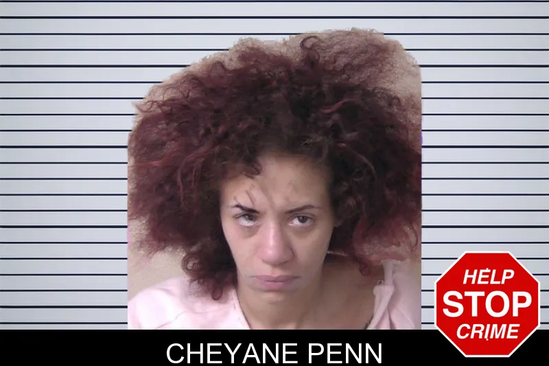 Cheyane Penn mugshot