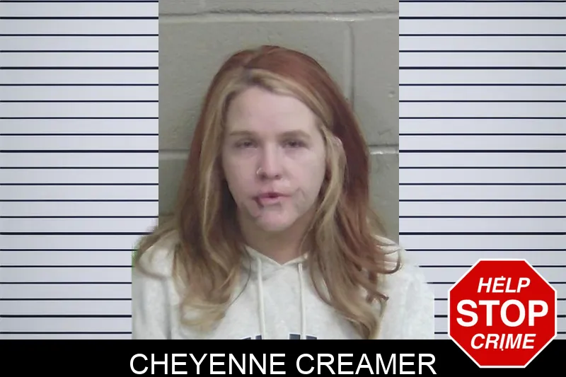 Cheyenne Creamer mugshot – Wayne County , Georgia Cheyenne Creamer mugshot