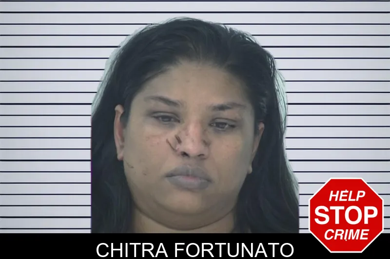 Chitra Fortunato mugshot