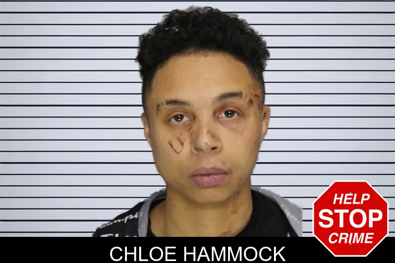 Chloe Hammock mugshot – Cobb County , Georgia Chloe Hammock mugshot