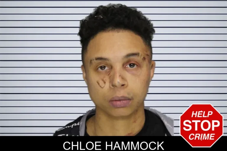 Chloe Hammock