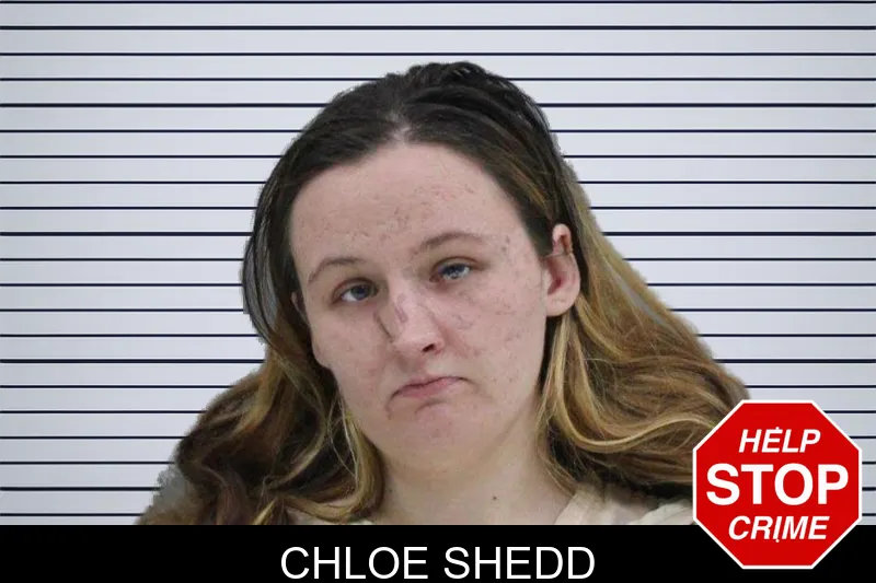 Chloe Shedd mugshot