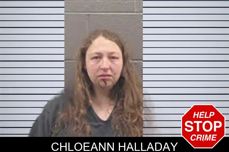 Chloeann Halladay Mugshots