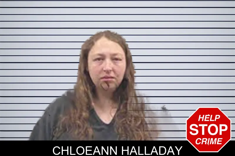 Chloeann Halladay Mugshots