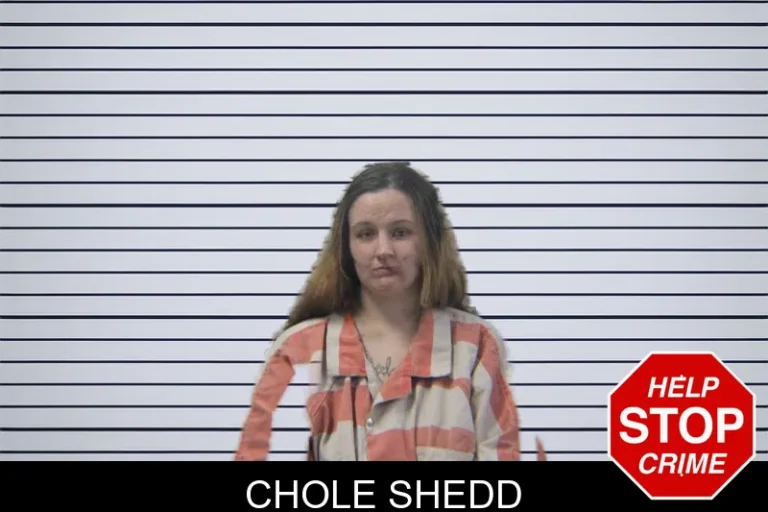 Chole Shedd mugshot – Stephens County , Georgia Chole Shedd