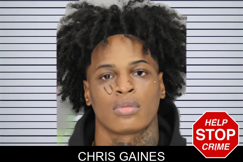Chris Gaines mugshot