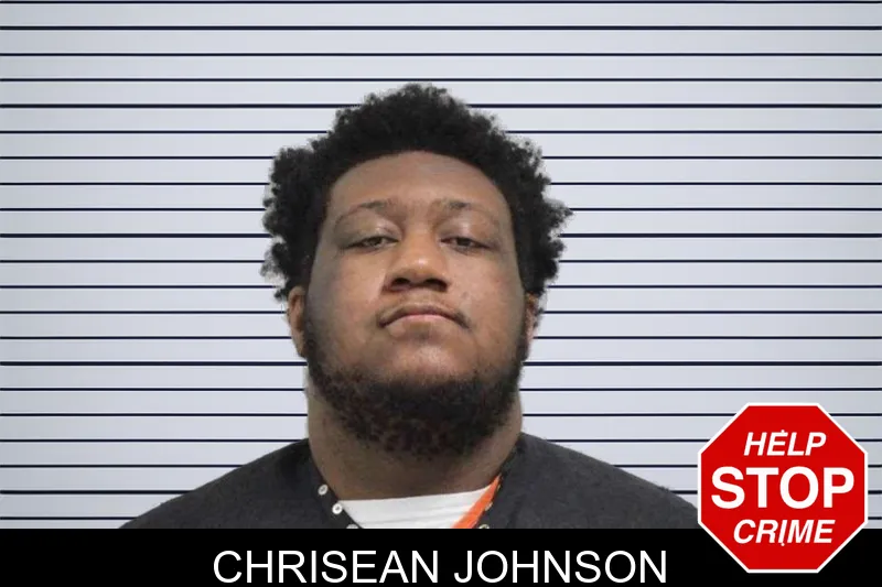Chrisean Johnson mugshot