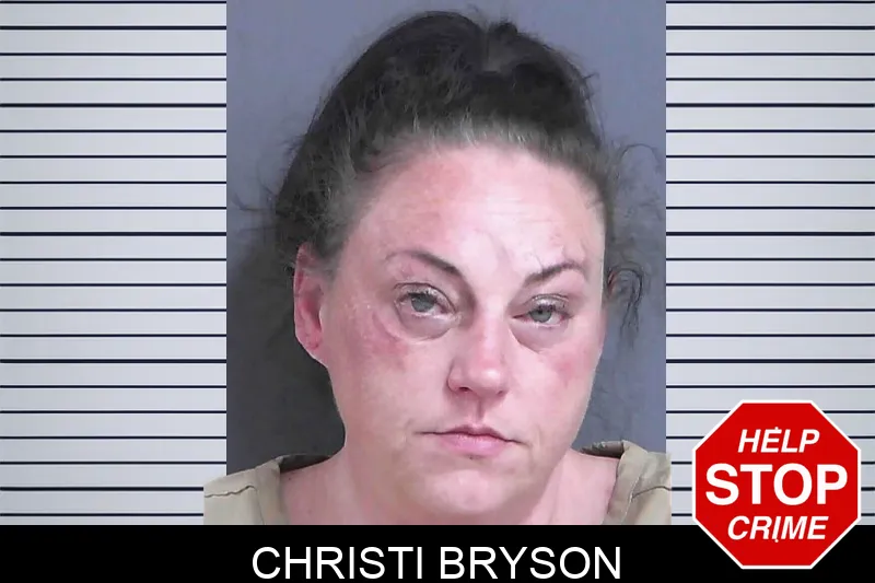 Christi Bryson mugshot