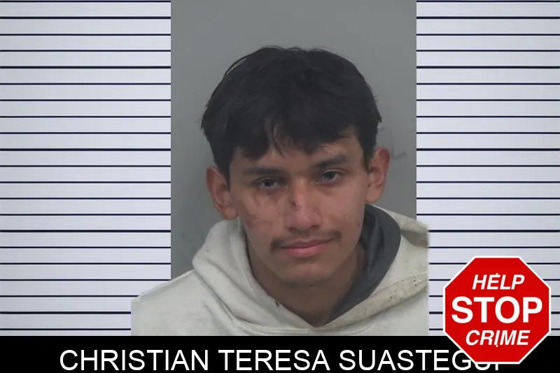Christian Teresa Suastegui mugshot – Gwinnett County , Georgia Christian Teresa Suastegui mugshot
