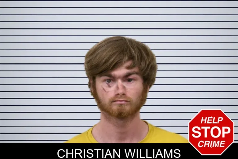 Christian Williams mugshot – Bulloch County , Georgia Christian Williams