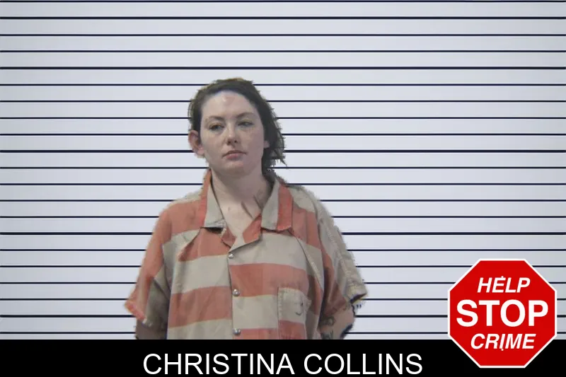 Christina Collins mugshot – Stephens County , Georgia Christina Collins mugshot