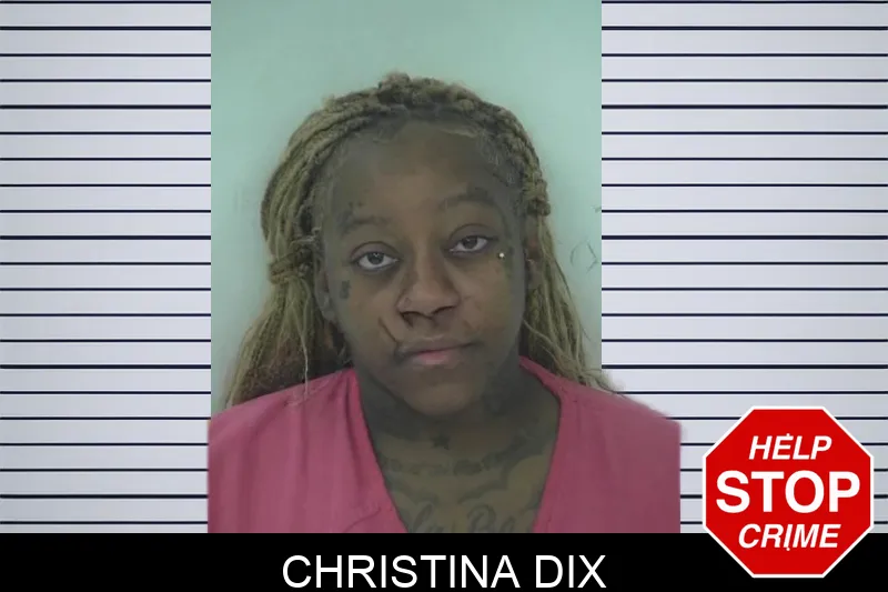 Christina Dix Mugshots