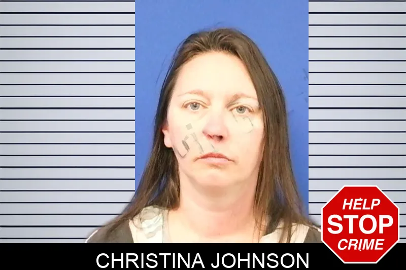Christina Johnson Mugshots
