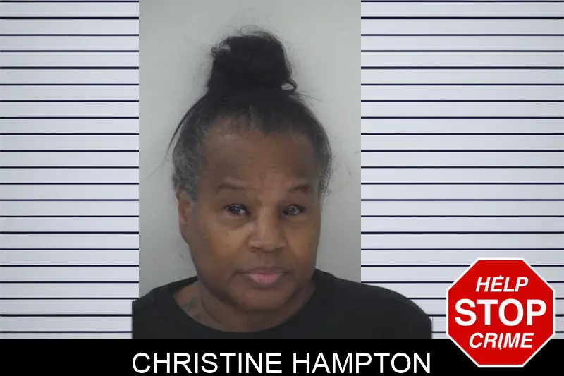 Christine Hampton Mugshots