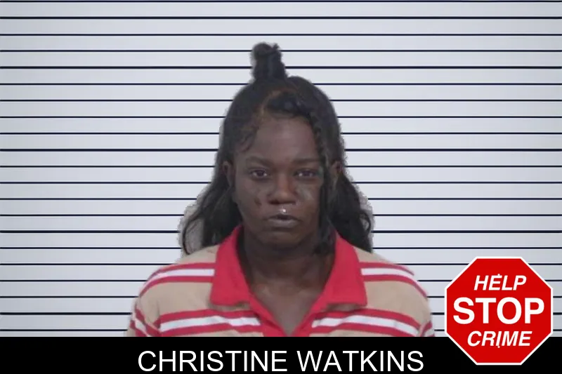 Christine Watkins Mugshots