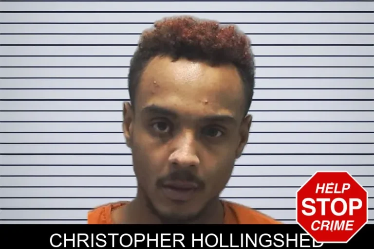 Christopher Hollingshed