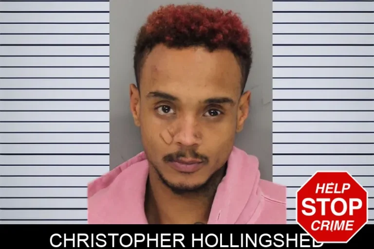 Christopher Hollingshed