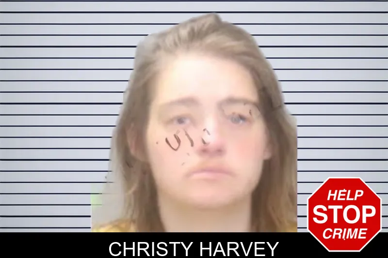 Christy Harvey Mugshots