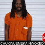 Chukwuemeka Nwokedi mugshot
